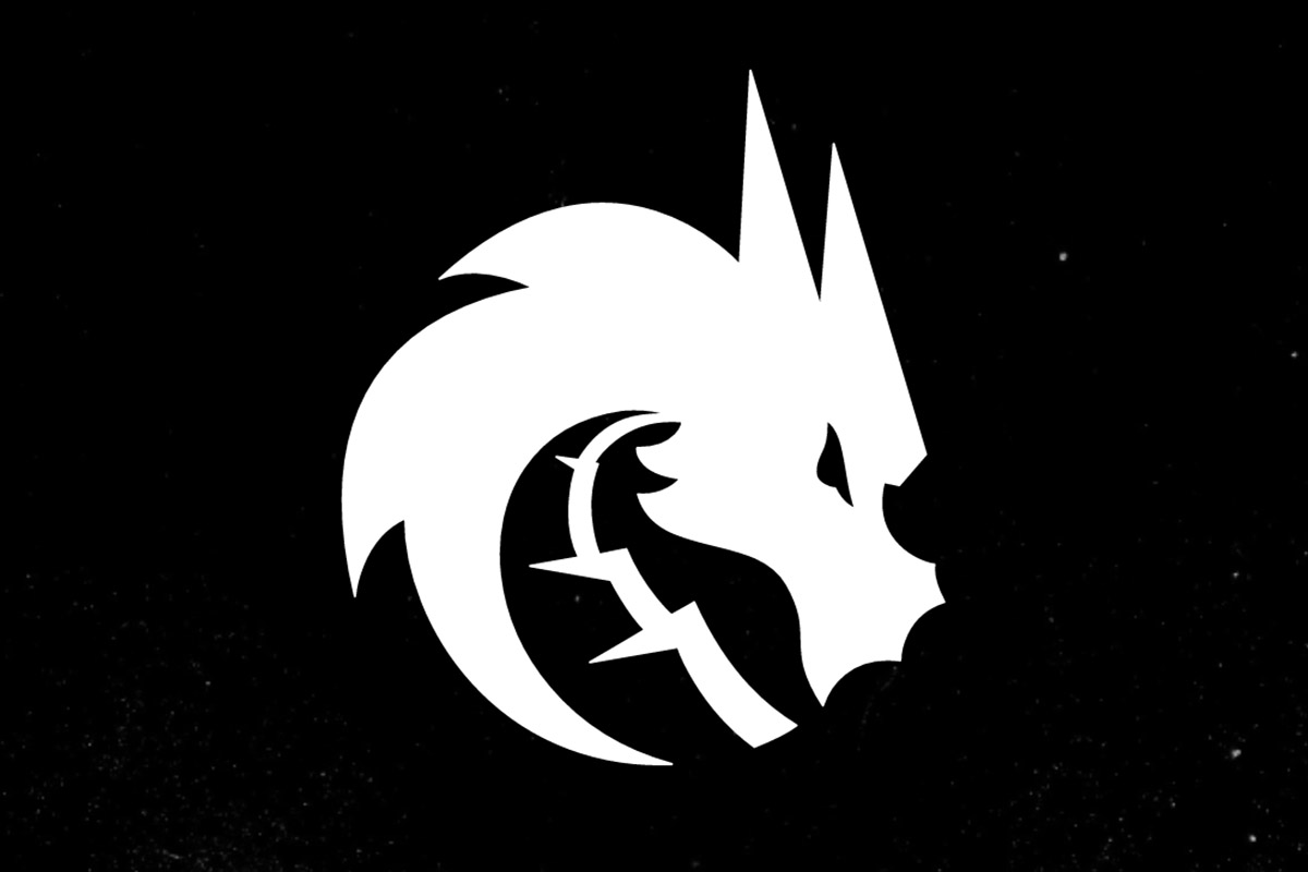 Фото: логотип Team Spirit