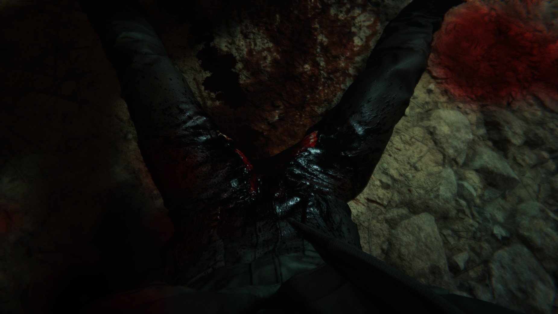 13 способов оказаться расчлененным и выпотрошенным в Outlast 2