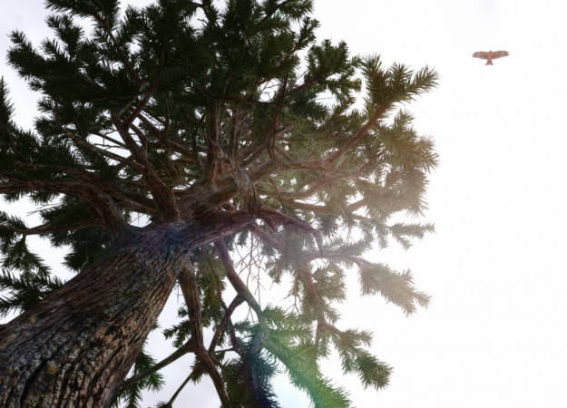 Этот мод для Skyrim сделает растительность по-настоящему реалистичной - изображение обложка