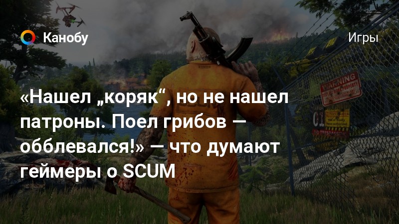 Scum есть ли одиночная игра