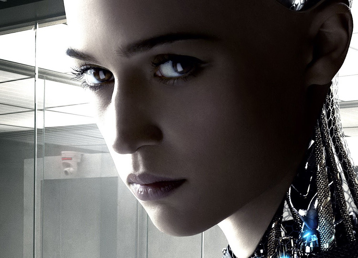 Кинопрокатчики в нас не верят - изображение обложка