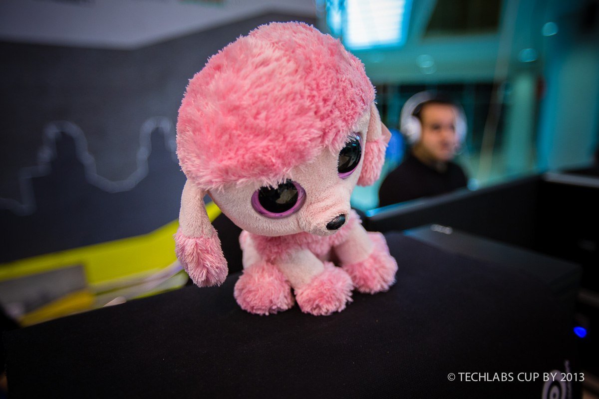 Стали известны победители квалификации TECHLABS CUP UA 2013  - изображение обложка