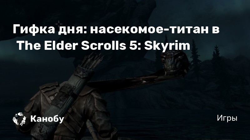 Skyrim проблема с камерой