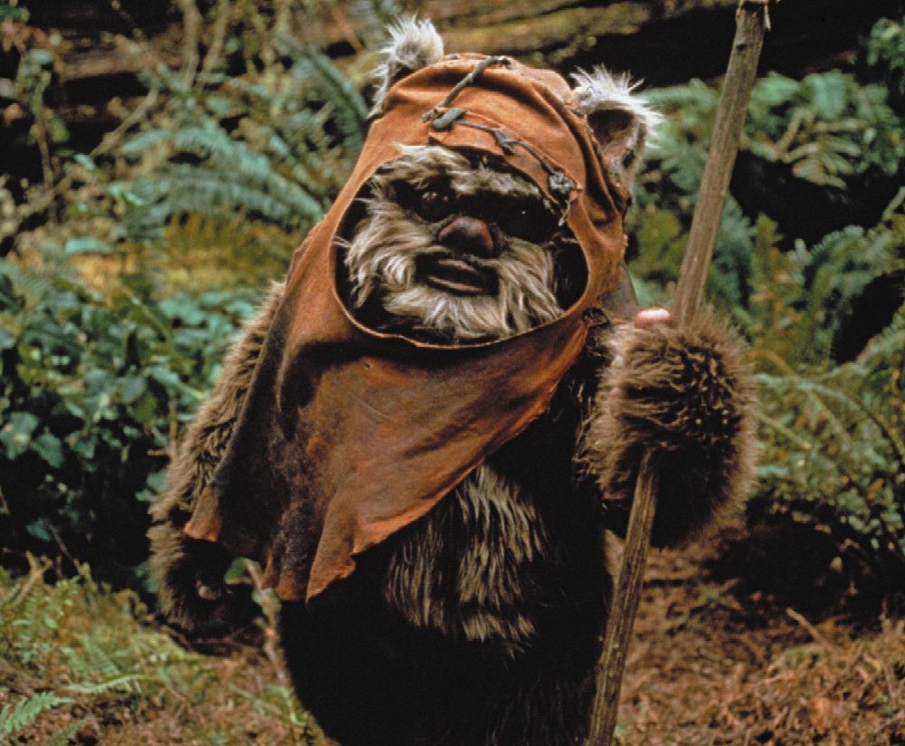 Фанат Star Wars построил собственную деревню эвоков - изображение обложка