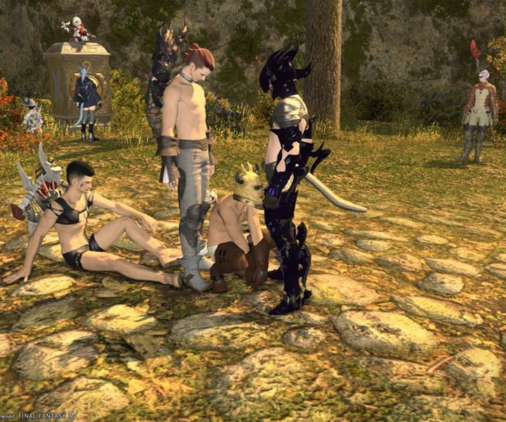 В Final Fantasy 14 разрешат однополые браки