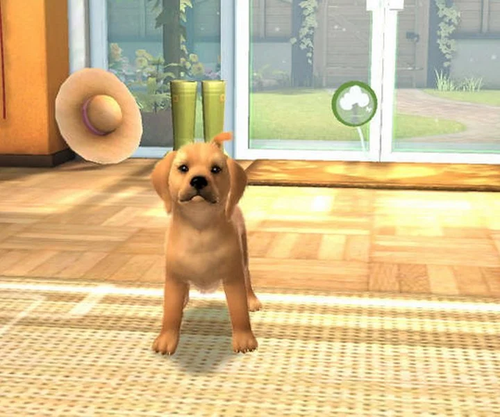 Обладателям PS Vita предложат воспитывать виртуальных собак в июне - изображение обложка