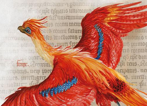 Вернитесь в чудесный мир магии вместе с Harry Potter: A History of Magic и звездой «Игры престолов» - изображение обложка