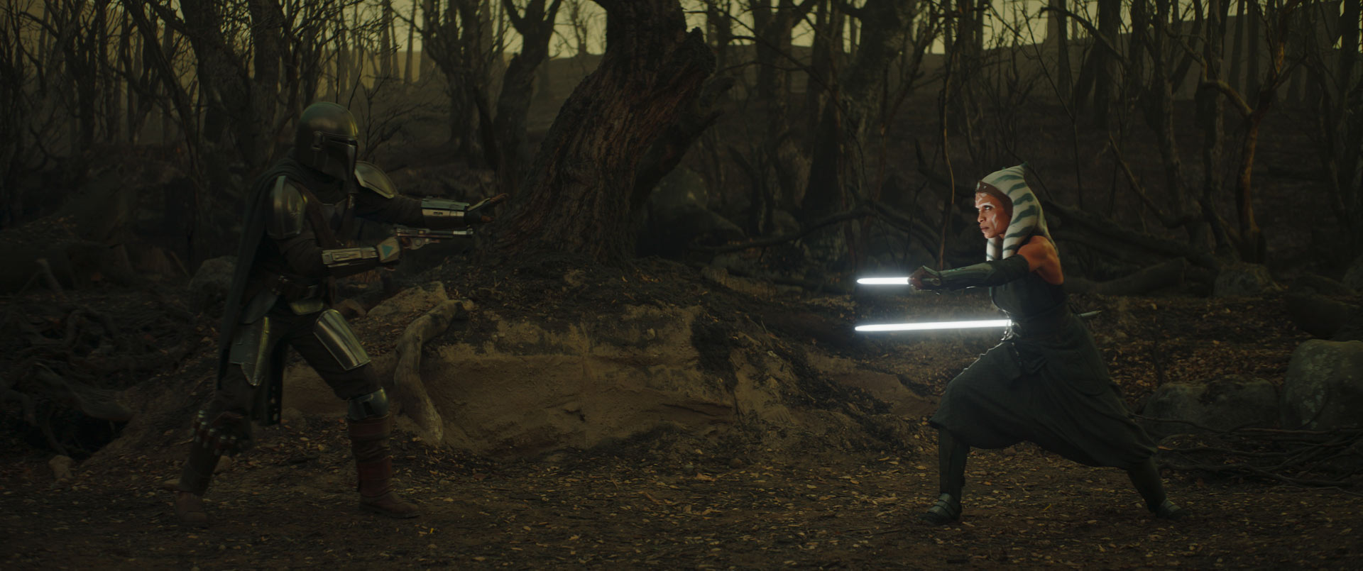 Розарио Доусон рассказала о взрослении Асоки Тано - изображение обложка