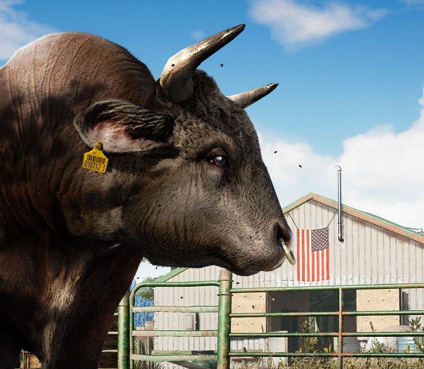 Скачать Far Cry 5 можно уже сейчас - изображение обложка