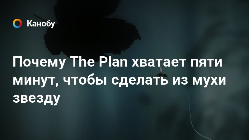 Plan the The Plan
