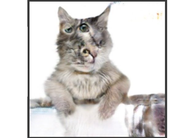 Нейросеть «оживляет» рисунки котов. Выглядит жутко - изображение обложка