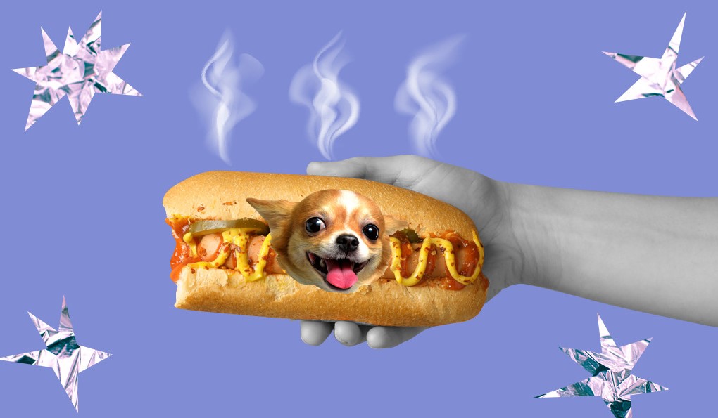 Хот-доги (не)готовили из собак. Откуда произошли названия культовой американской еды - изображение обложка