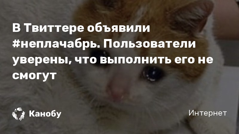 Когда начинается неплачабрь