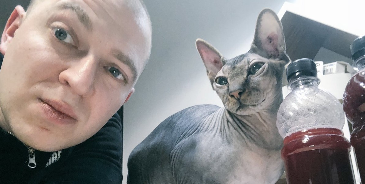 Котов кормят в стиле русских рэперов. Это главный TikTok прямо сейчас - изображение обложка