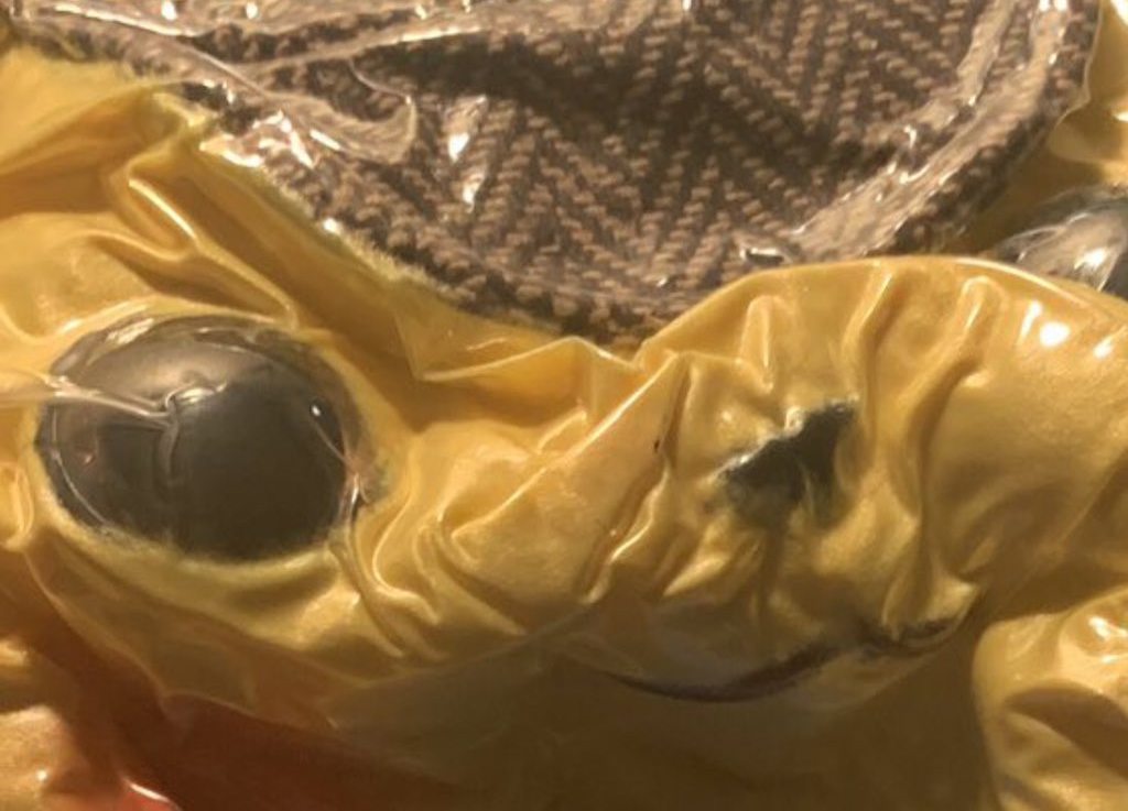 Детектив Пикачу в вакуумной упаковке выглядит как порождение кошмаров - изображение обложка