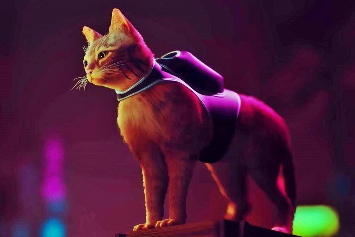 Обложка: скриншот Stray