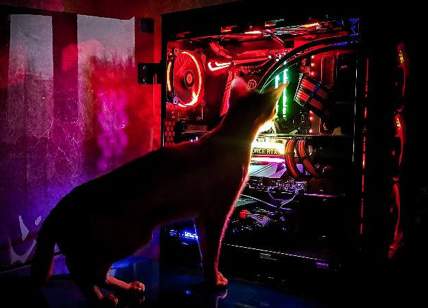 Тестируем трассировку лучей в Battlefield V на MSI GeForce RTX 2080 Gaming X Trio