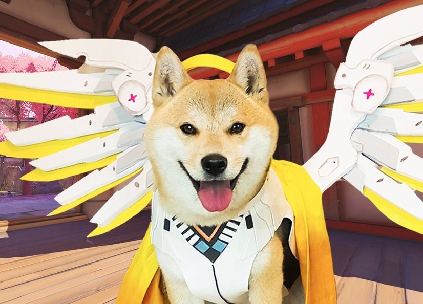 Сногсшибательный собакосплей Overwatch  - изображение обложка