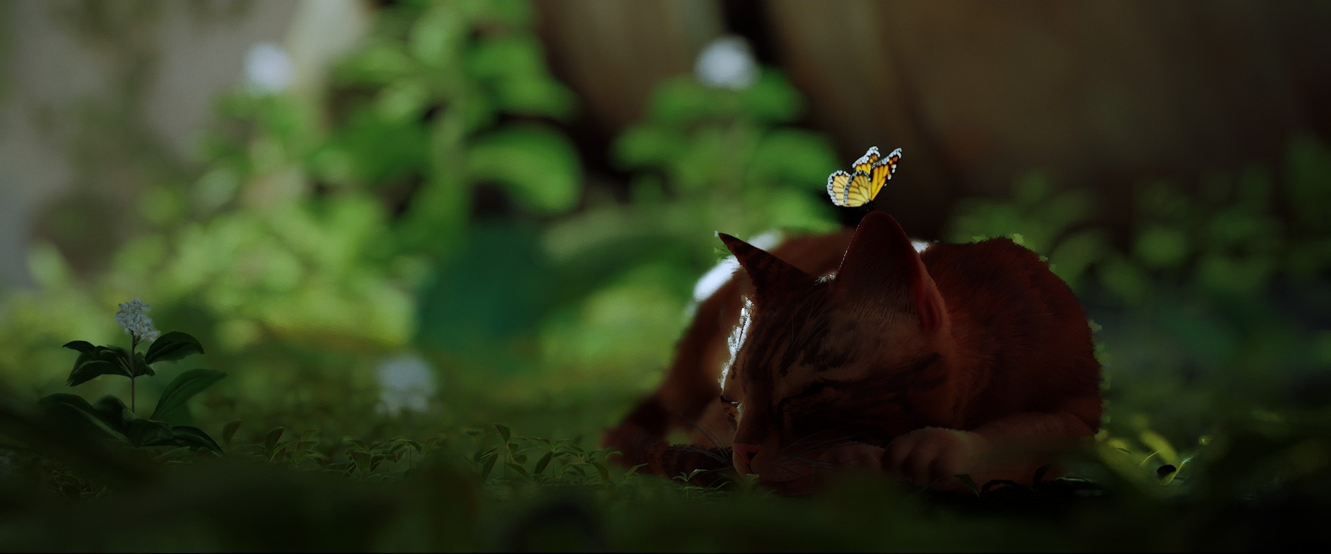 Игра Stray помогла приютам собрать деньги для помощи животным