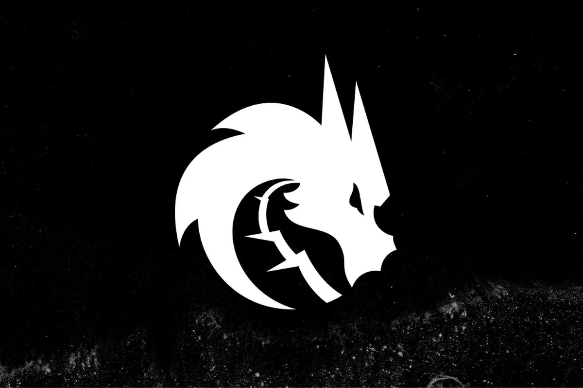 Обложка: лого Team Spirit