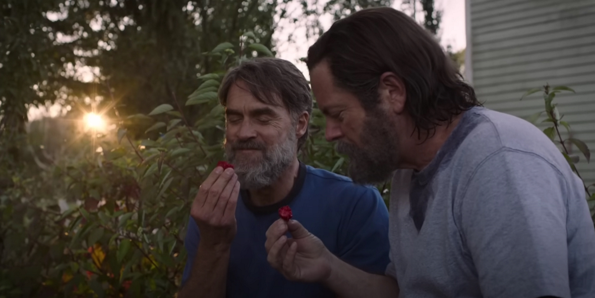 Обложка: кадр из сериала «Одни из нас» (2023—…)