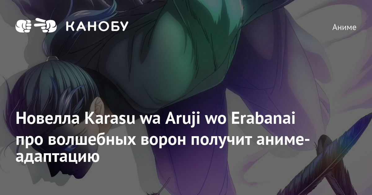 Новелла Karasu wa Aruji wo Erabanai про волшебных ворон получит аниме