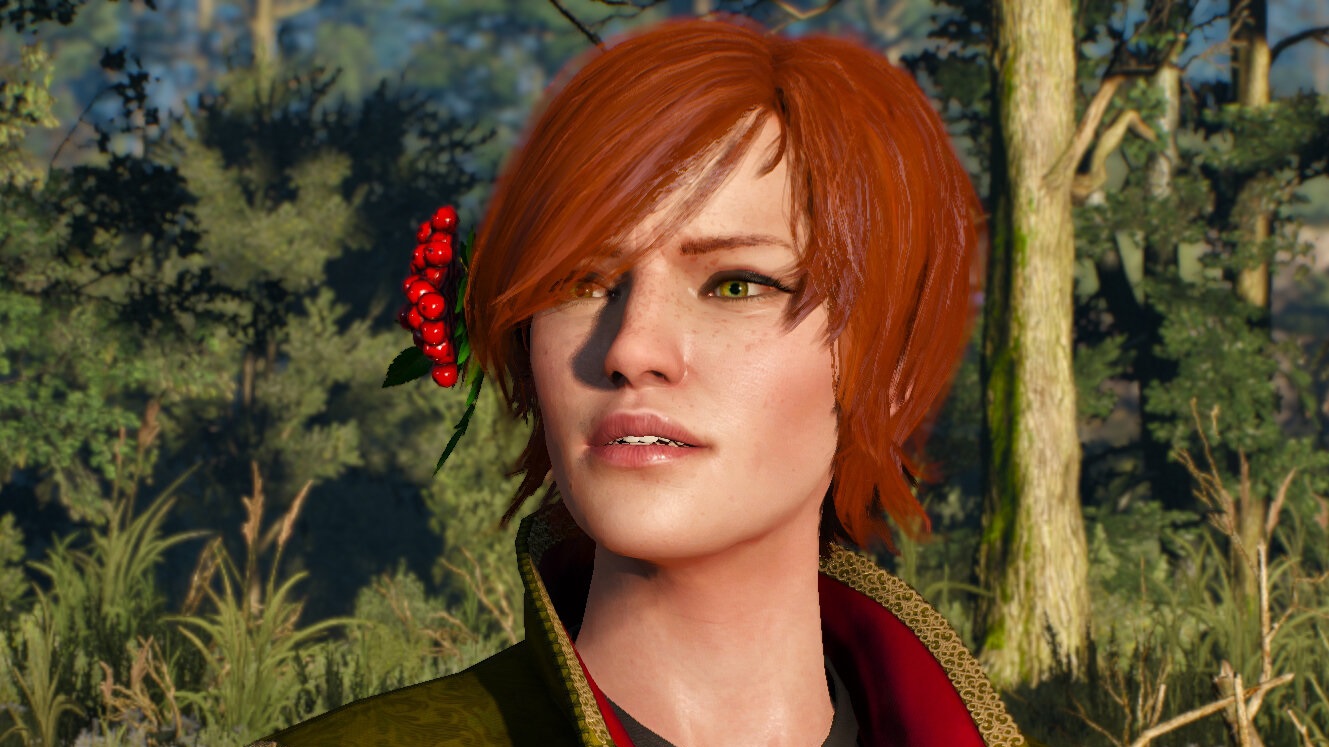 Обложка: скриншот из The Witcher 3