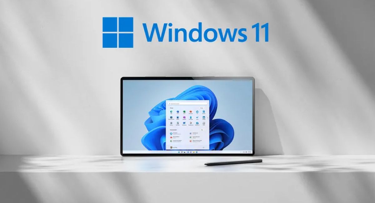 Обложка: Windows 11