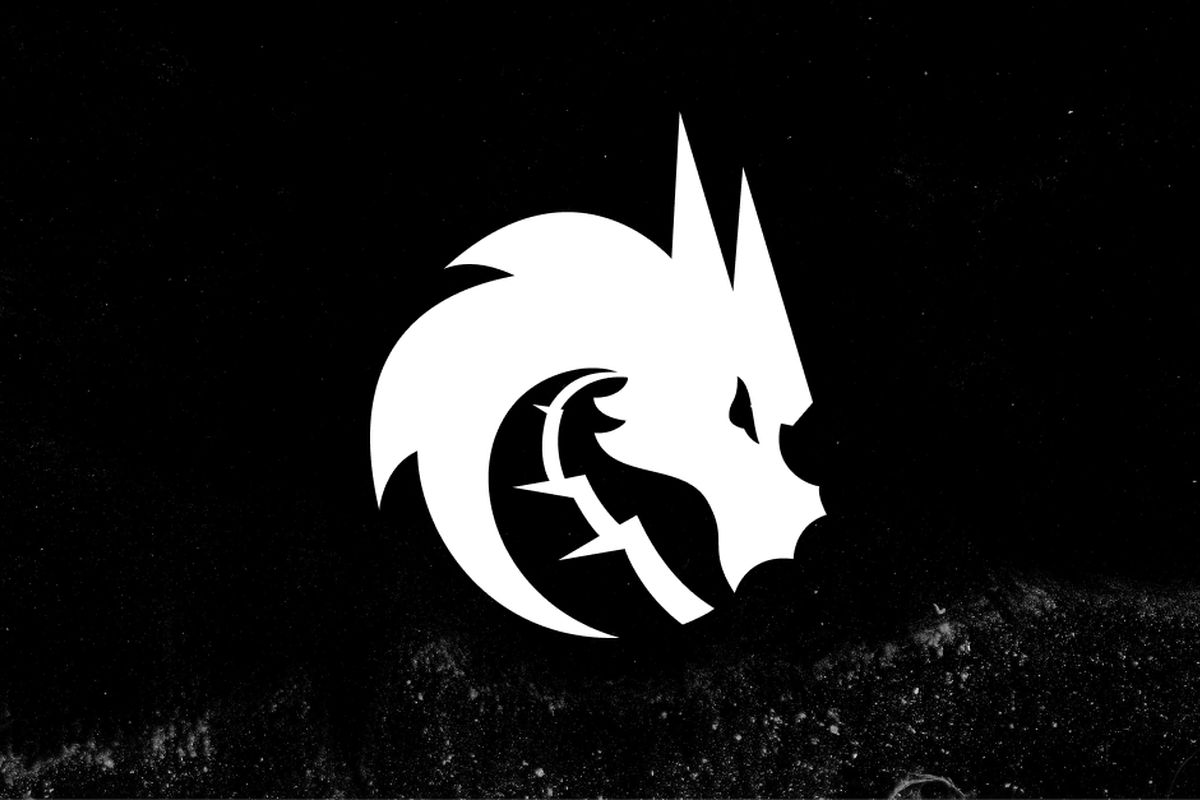 Обложка: лого Team Spirit