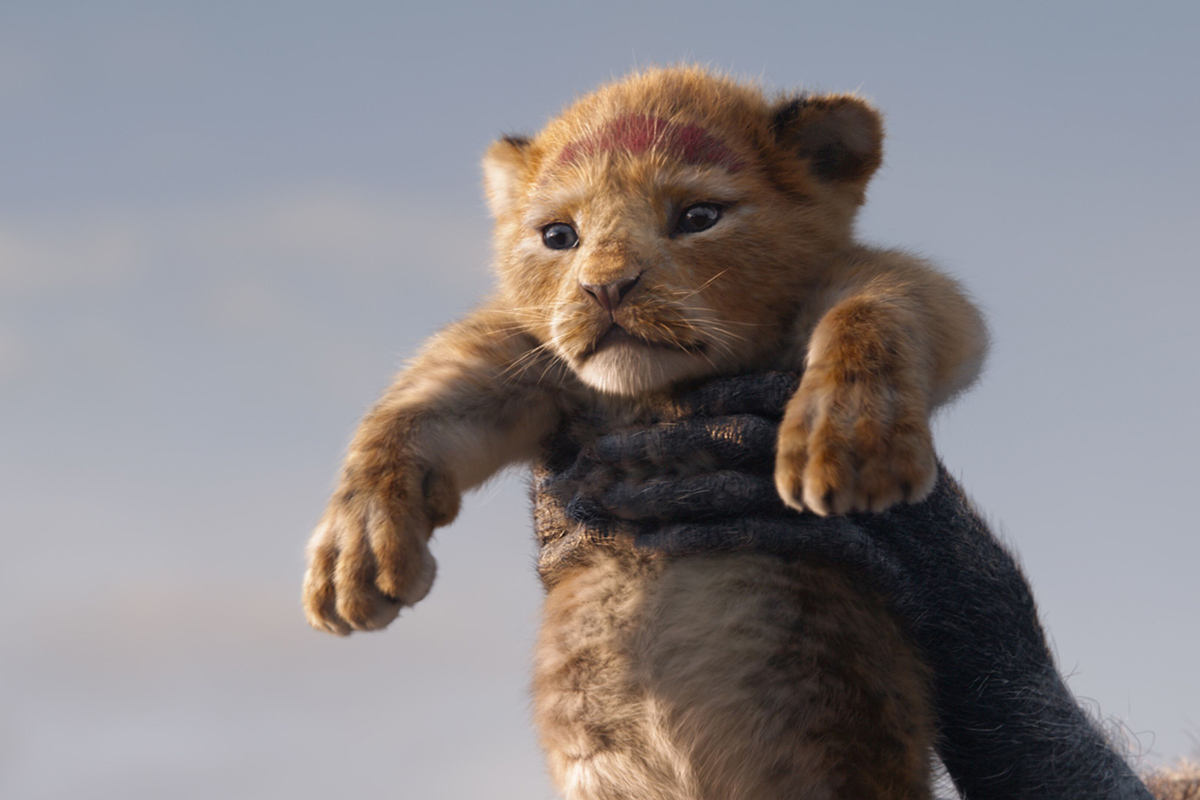 Обложка: "Король Лев" (2019)