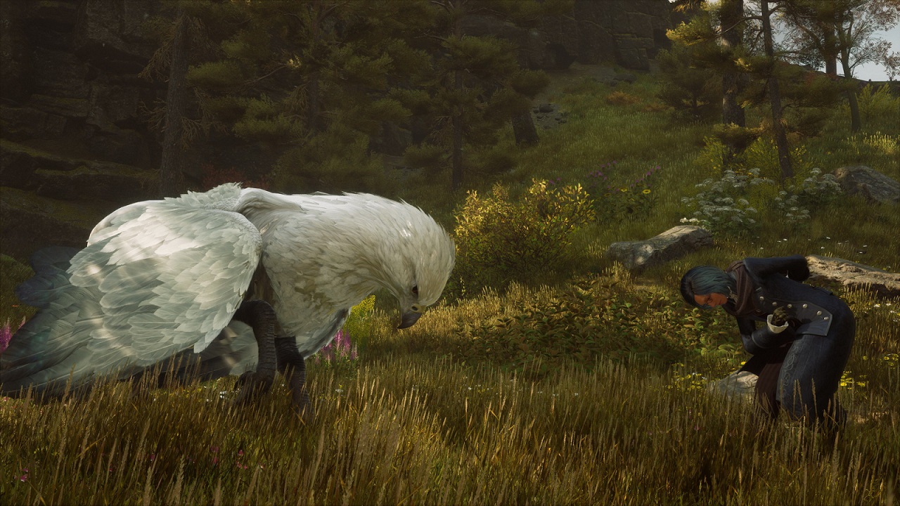 Обложка: скриншот из Hogwarts Legacy