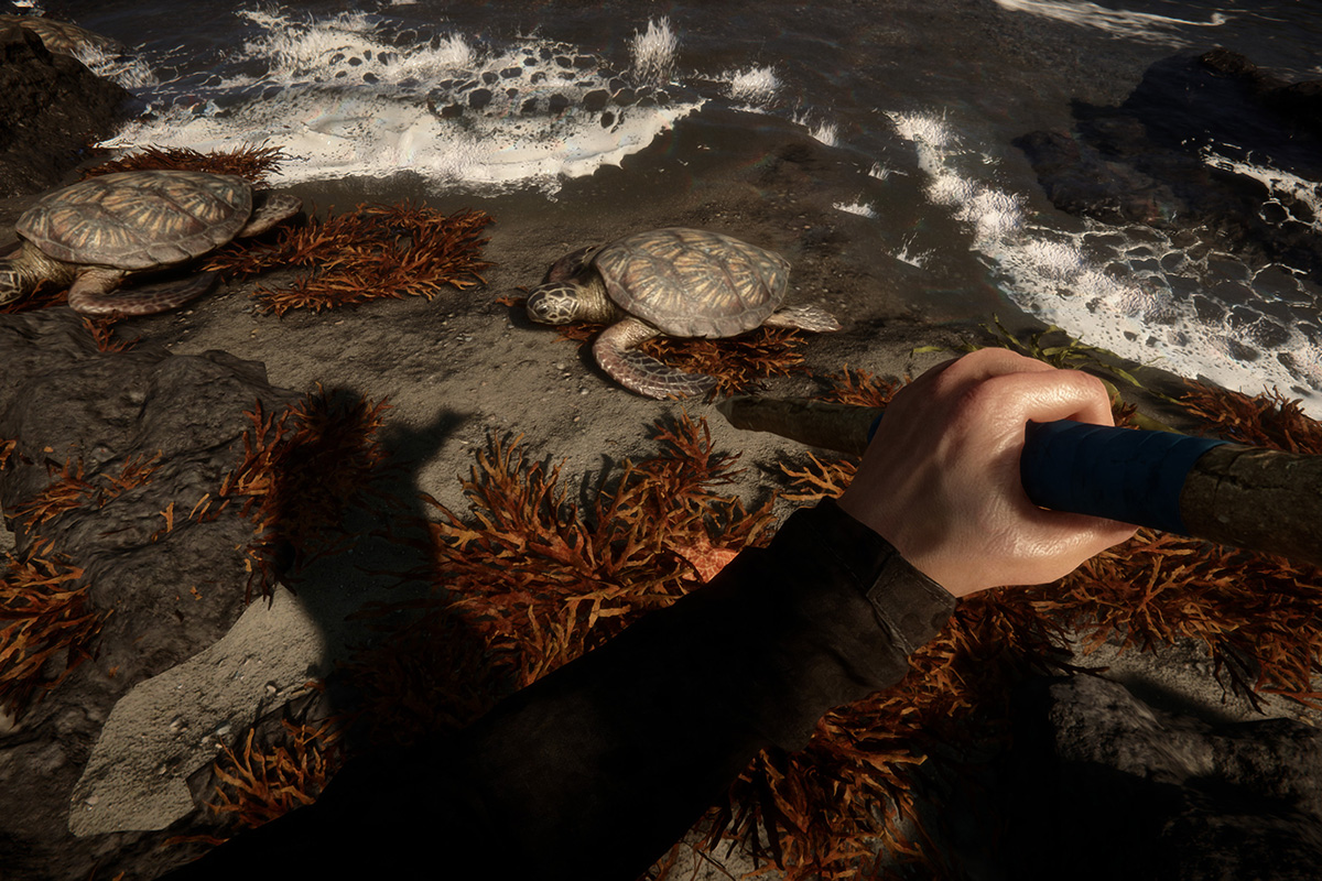 Обложка: Sons Of The Forest