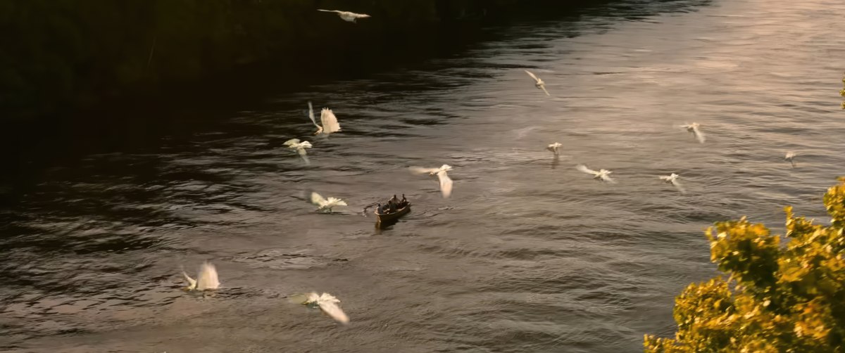 Обложка: кадр из сериала «Внешние отмели»