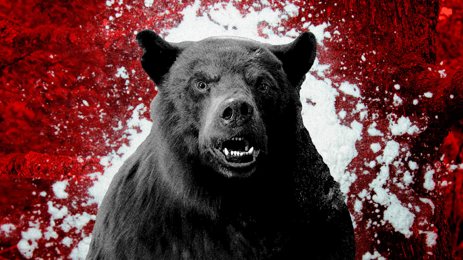 «Кокаиновый медведь» вышел на цифровых площадках