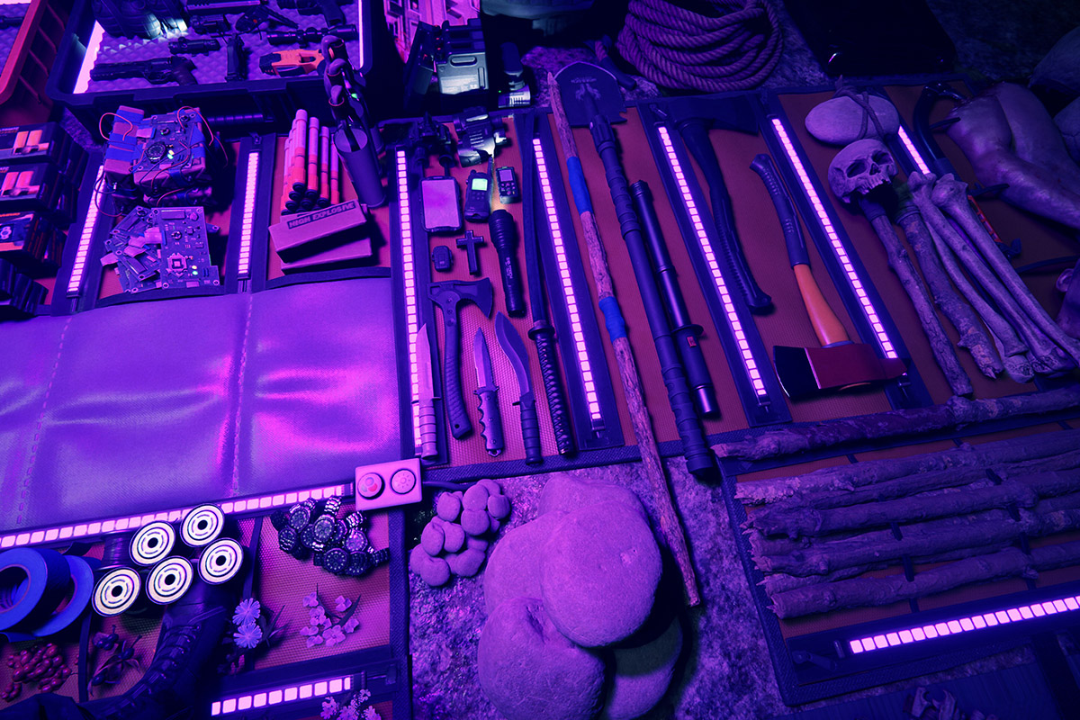 Обложка: Sons of the Forest