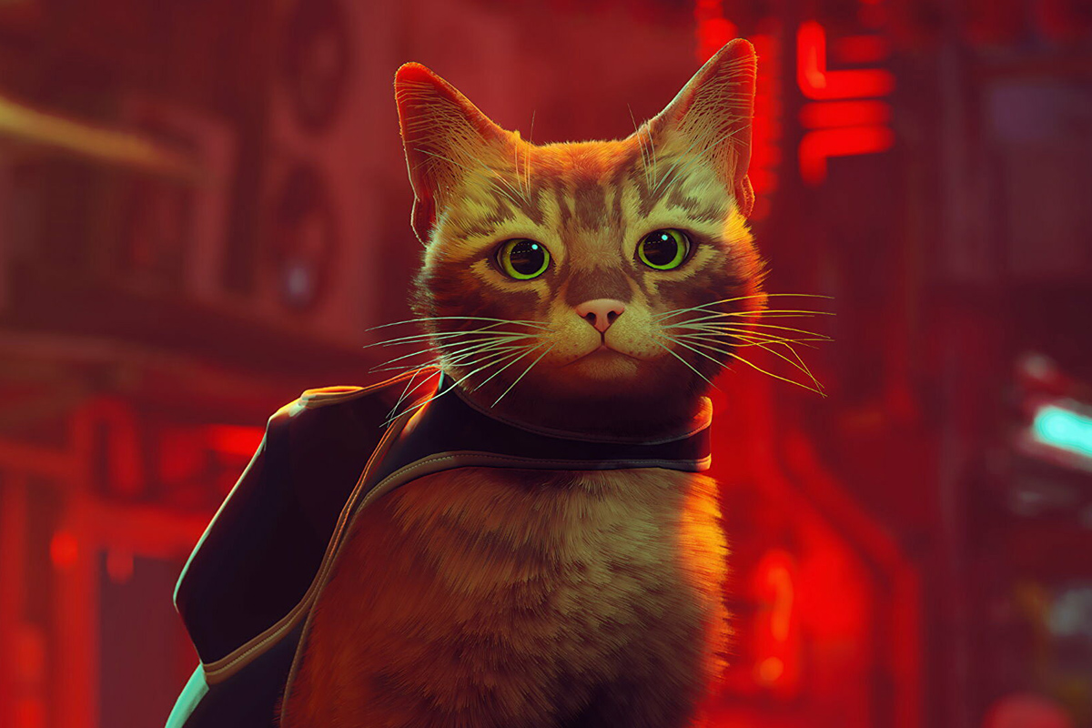 ESRB удалила страницу с возрастным рейтингом версии Stray для Xbox