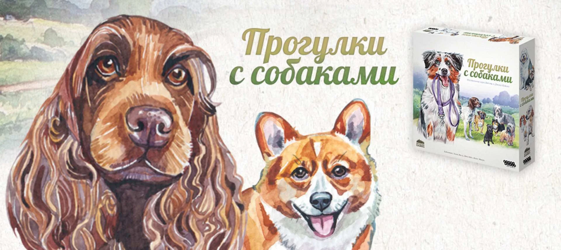 Пёс с тобой — обзор на настольную игру «Прогулки с собаками» - изображение 1