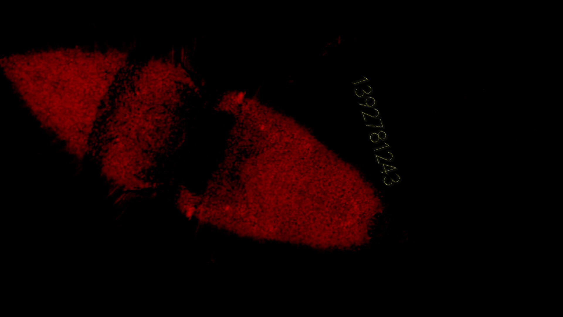 Обложка: скриншот из Project C