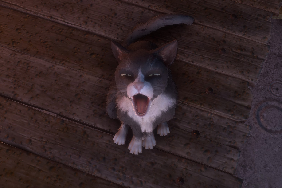 Обложка: Dragon Age - The Veilguard