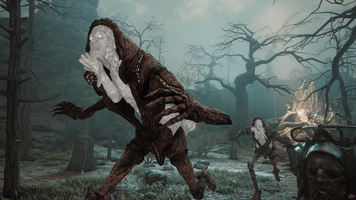 Обложка: скриншот игры Soulframe