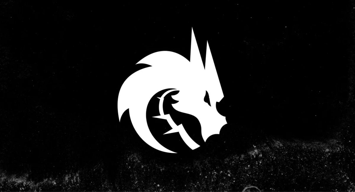 Обложка: лого Team Spirit