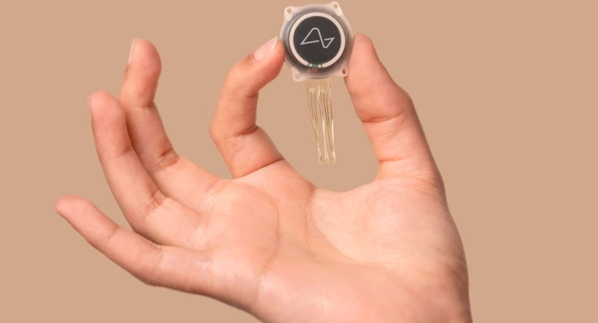 Обложка: скриншот Neuralink