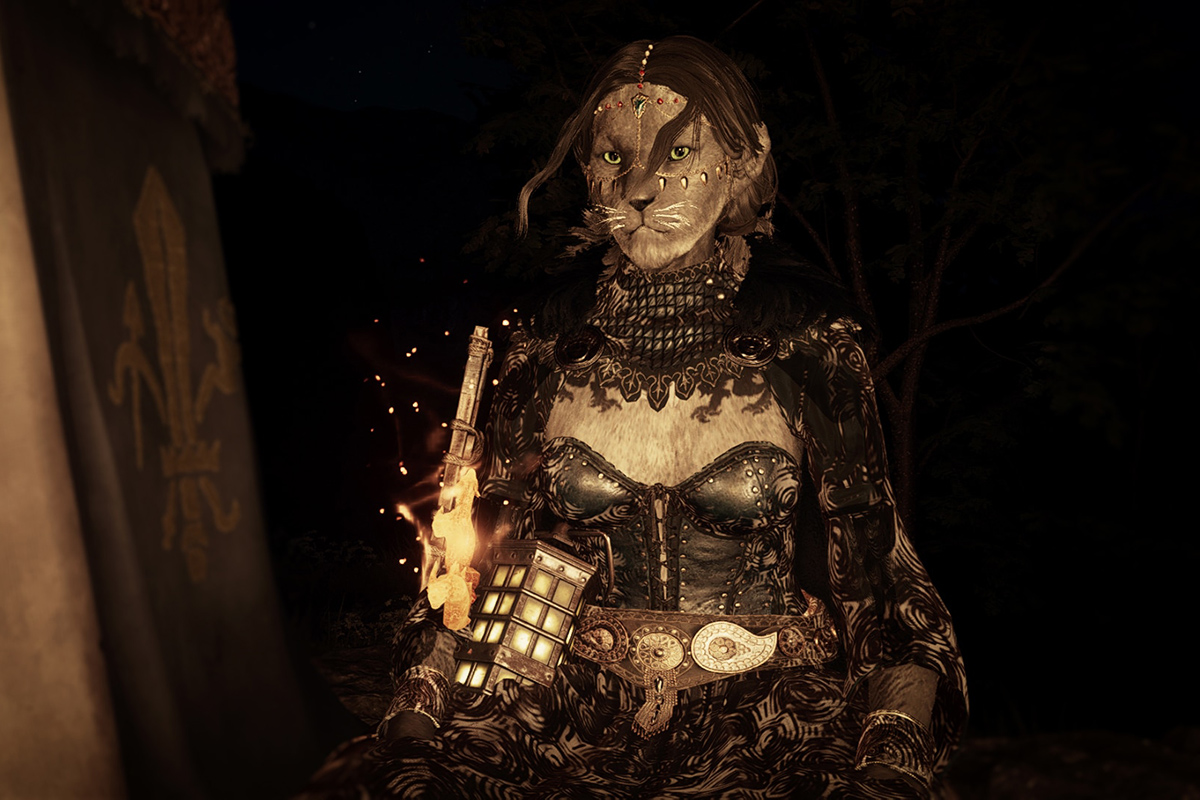 Обложка: Dragon's Dogma 2