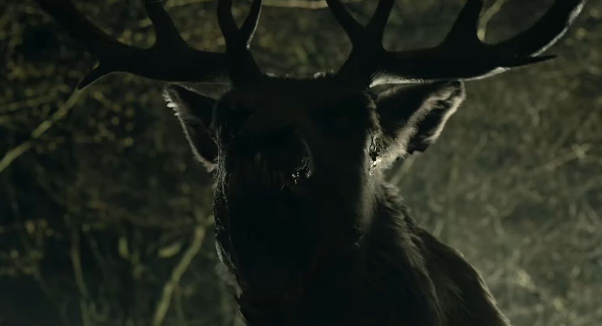 Обложка: скриншот «Канобу»