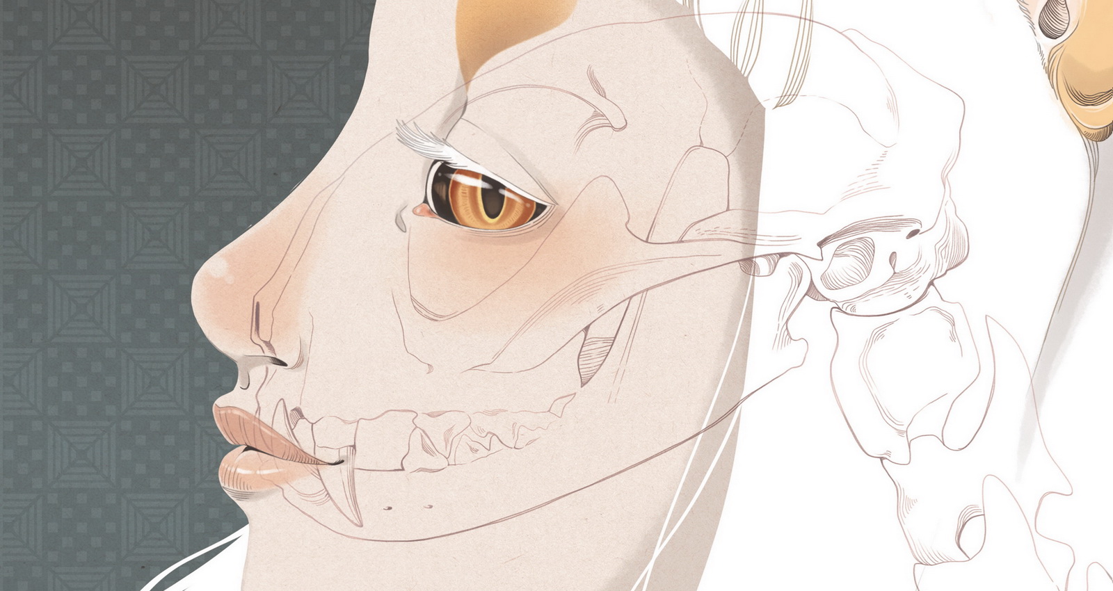 Обложка: обложка книги «Воспоминания нэкоматы, кошки-оборотня»