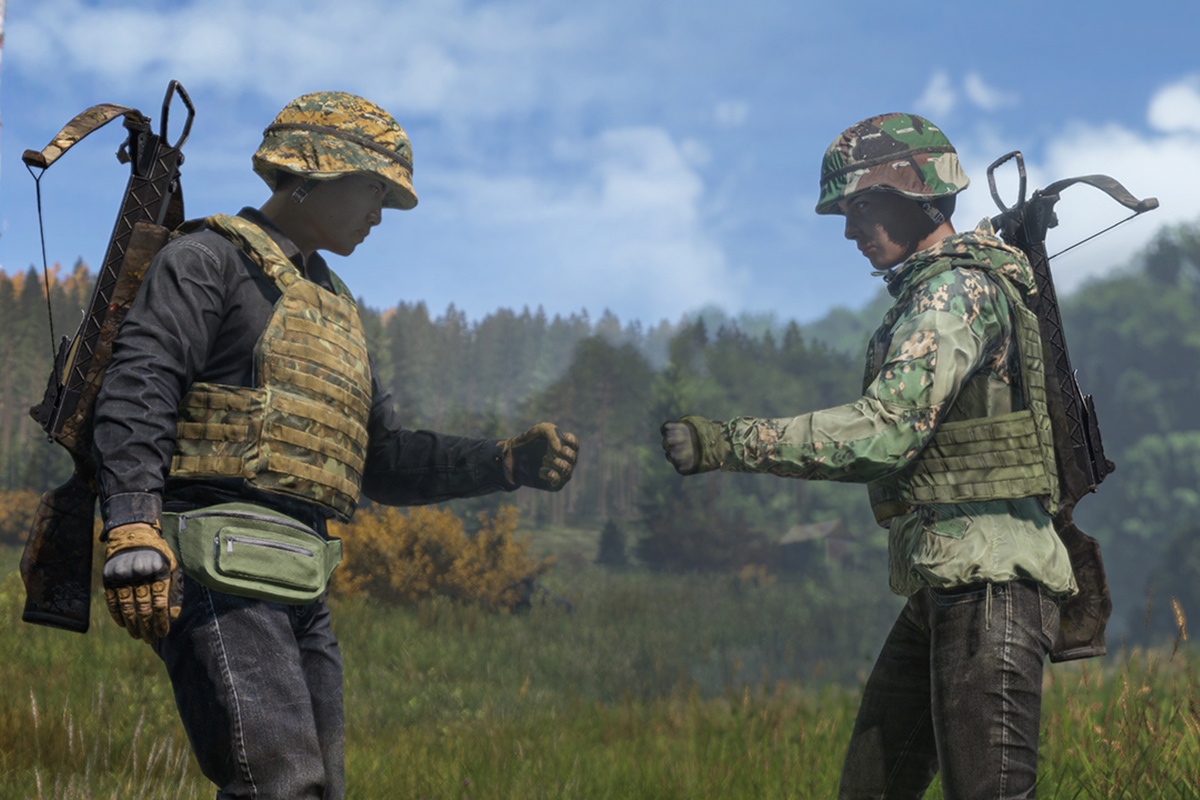 Обложка: DayZ