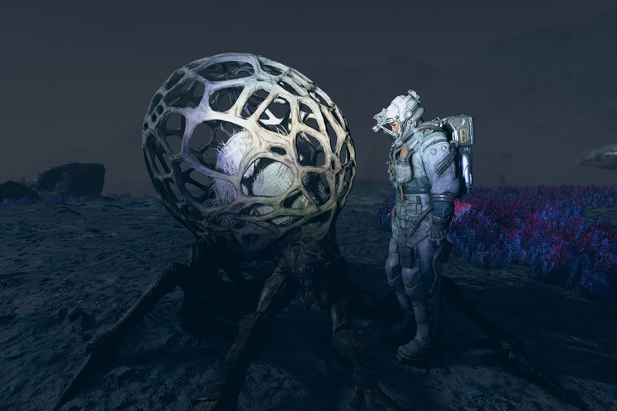 Обложка: Starfield