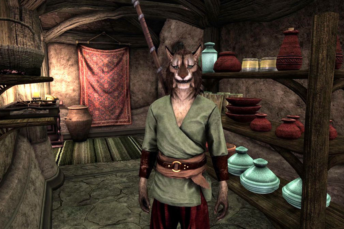 Авторы мода Skywind для The Elder Scrolls 5: Skyrim показали два часа геймплея