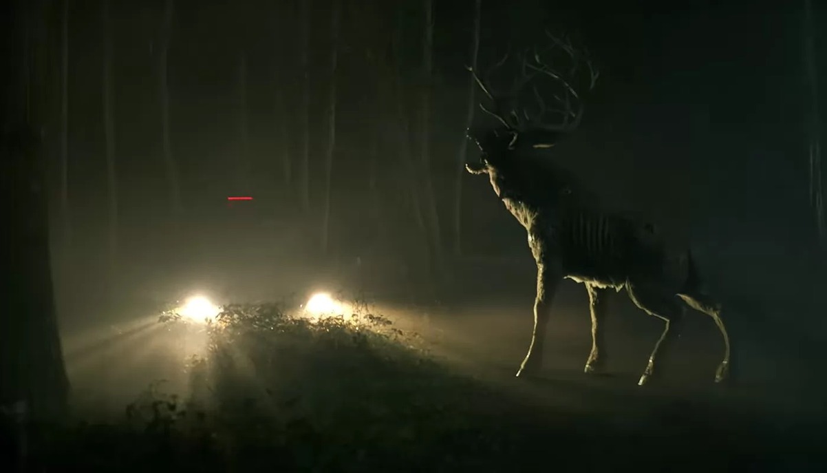 Обложка: кадр из фильма «Бэмби: Расплата»