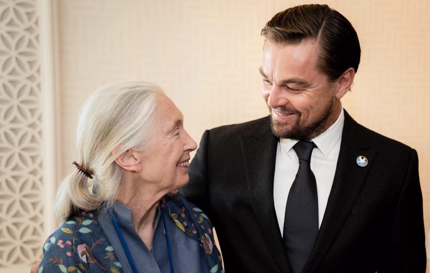 Обложка: Giles Clarke/Getty Images
